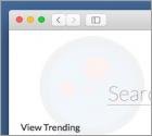 Redireccionamiento a Search.viewsearch.net (Mac)