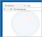 Redireccionamiento a Cleanserp.net