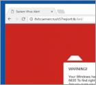 Estafa Microsoft System Security Alert