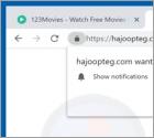 Redireccionamiento en ventanas emergentes Hajoopteg.com