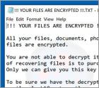 Ransomware Buran