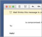 Estafa Email "I'm A Programmer Who Cracked Your Email"