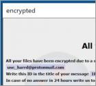Ransomware Eight
