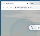 Secuestrador de Navegador "Burst Search"