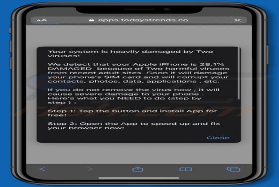 Estafa Emergente "Your System Is Heavily Damaged By Two Viruses!" (Mac)