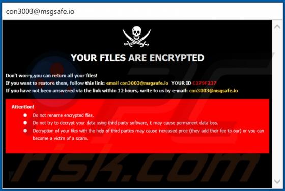 Ransomware Con30