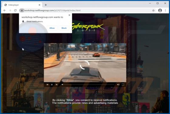 Anuncios Netflowgroup.com