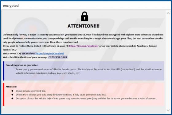 Ransomware CAVALLOZIPULYA