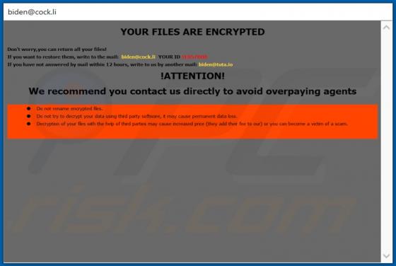 Ransomware Biden