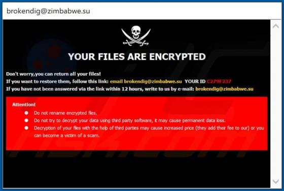 Ransomware Pirat