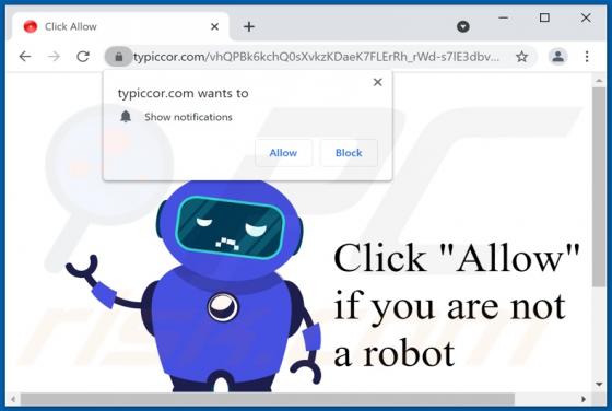 Anuncios Typiccor.com