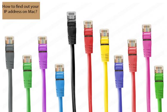 ¿Cómo Averiguar Su Dirección IP En Mac?