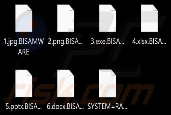 Ransomware "BISAMWARE"