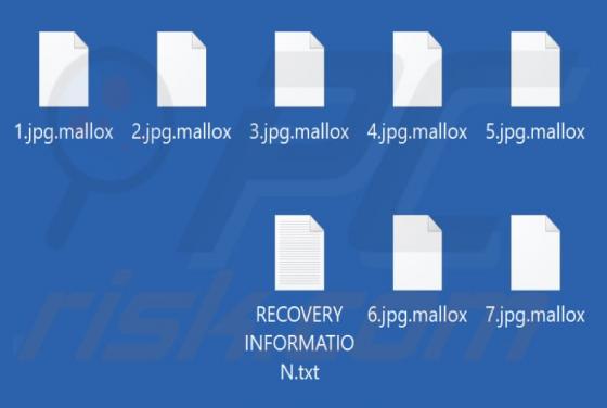 Ransomware "Mallox"