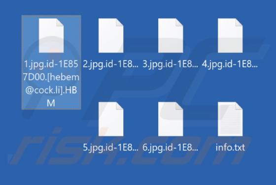 Ransomware "HBM"
