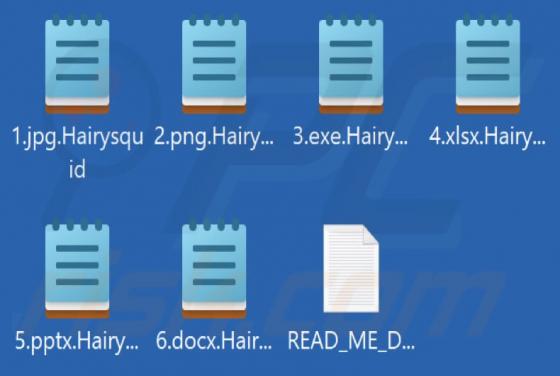 Ransomware "Hairysquid"