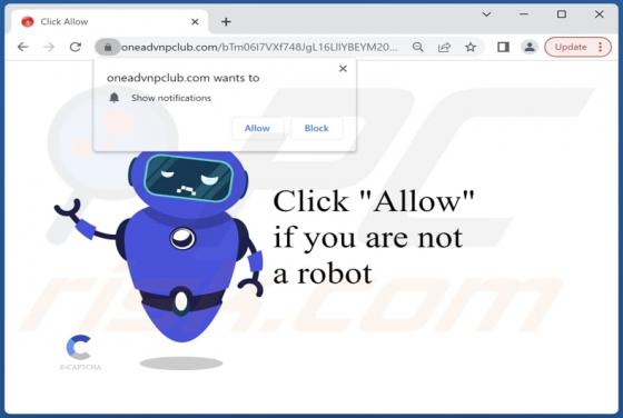 Anuncios de oneadvnpclub.com