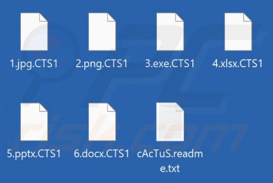 Ransomware "Cactus"