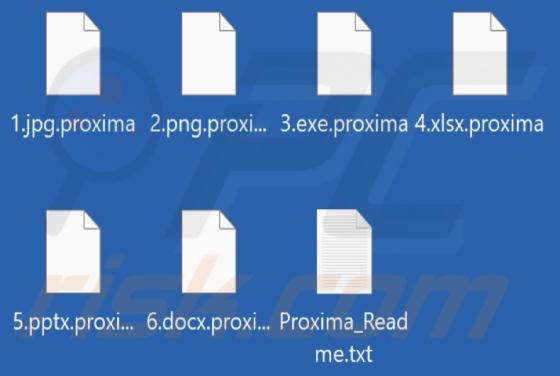 Ransomware "Proxima"