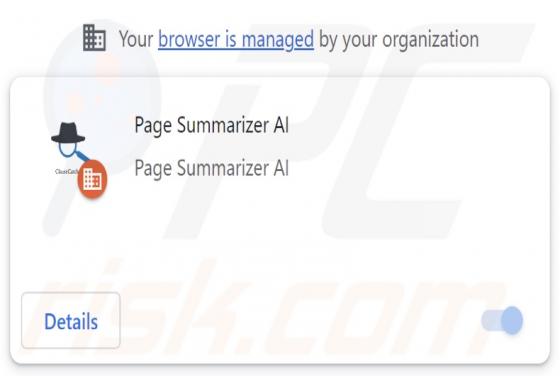 Secuestrador del navegador Page Summarizer AI