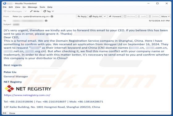 Estafa por correo electrónico Domain/Company Name Conflict