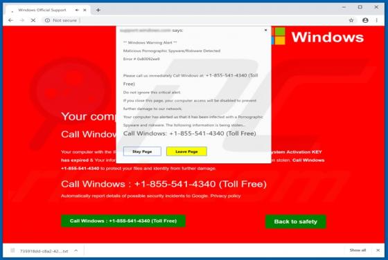Error # 0x80092ee9 POP-UP Estafa