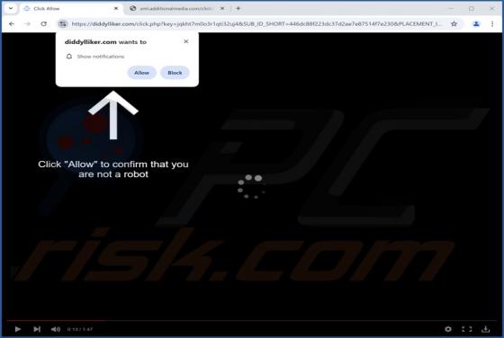 Diddylliker.com Anuncios