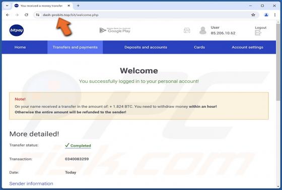 Fake BitPay Wallet Estafa