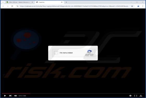 Rokinat.co.in Anuncios