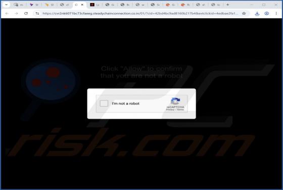 Steadychainconnection.co.in Anuncios