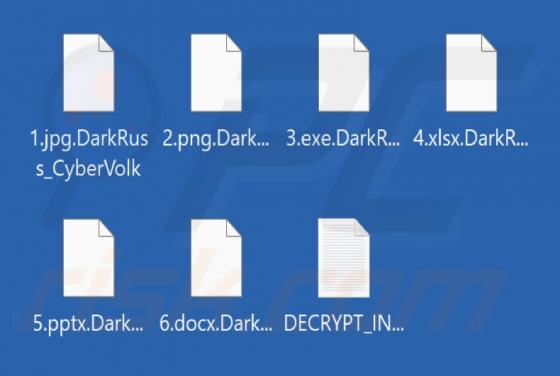 DarkNetRuss Ransomware