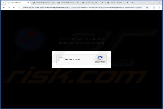 Netchainspan.com Anuncios