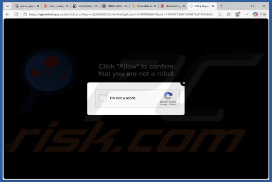 Anuncios giumbletepe.co.in