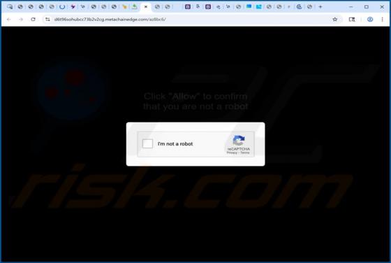 Metachainedge.com Anuncios