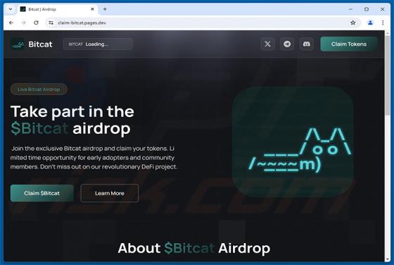 $Bitcat Airdrop estafa
