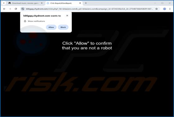 Anuncios de Chydront.com