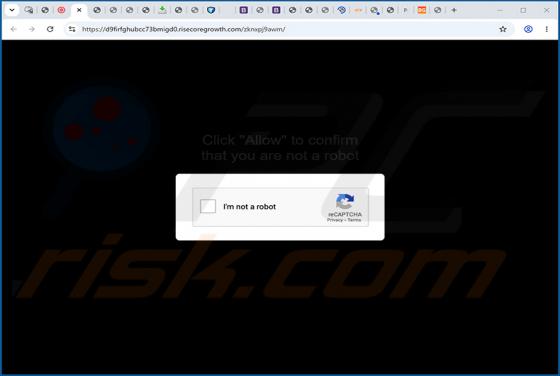Anuncios de Risecoregrowth.com