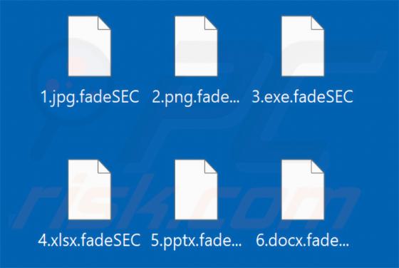 FadeSEC Ransomware