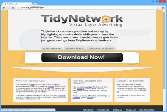 Anuncios de TidyNetwork