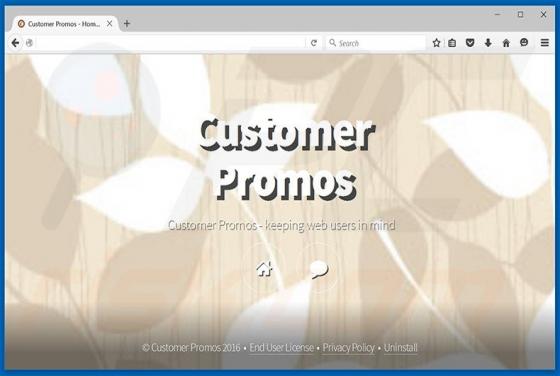 Anuncios de Customer Promos