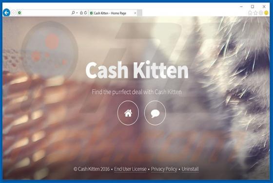 Anuncios de Cash Kitten