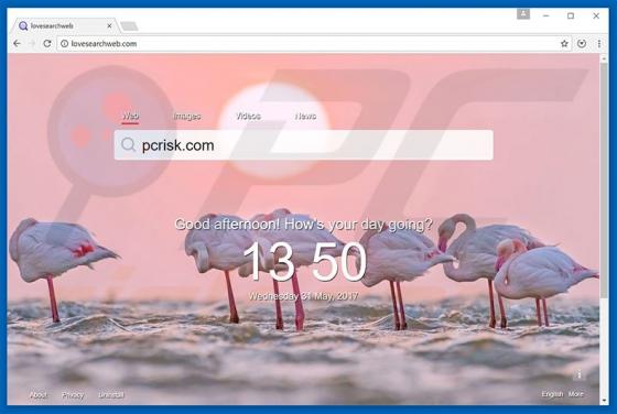 Redireccionamiento a Lovesearchweb.com