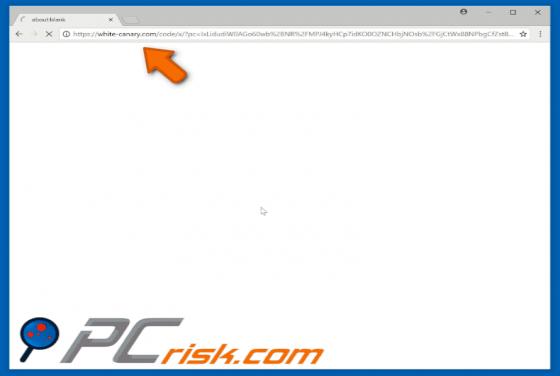 Redireccionamiento con pop-up a White-canary.com