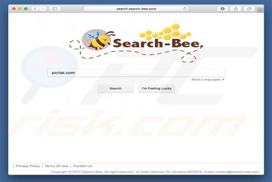 Redireccionamiento a Search.search-bee.com (Mac)