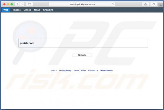 Redirección search.pricklybears.com (Mac)