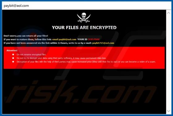 Ransomware payB