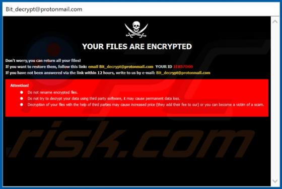 Ransomware BOMBO