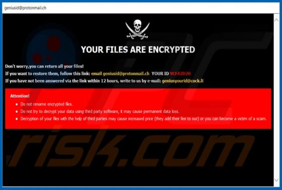 Ransomware GNS
